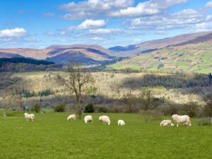 Spring 2021, cwmdu campsite, camping, wales, brecon beacons, staycation